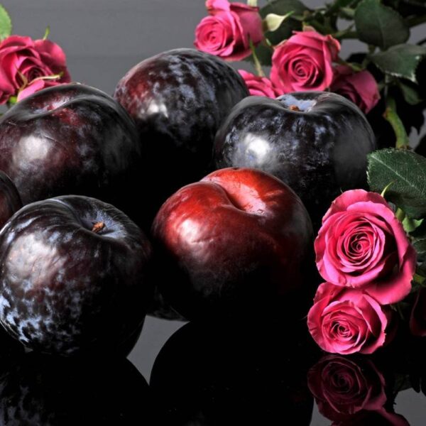 Plum rose patchouli fragrance oil Plum rose patchouli fragrance oil